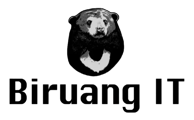 Biruang IT Logo
